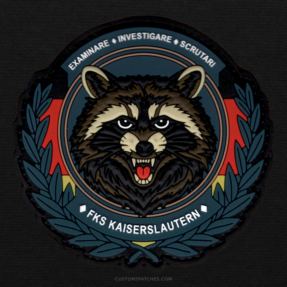 EXAMINARE INVESTIGARE SCRUTARI FKS KAISERSLAUTERN – Financial Control of Undeclared Employment Kaiserslautern – Germany – Patch
